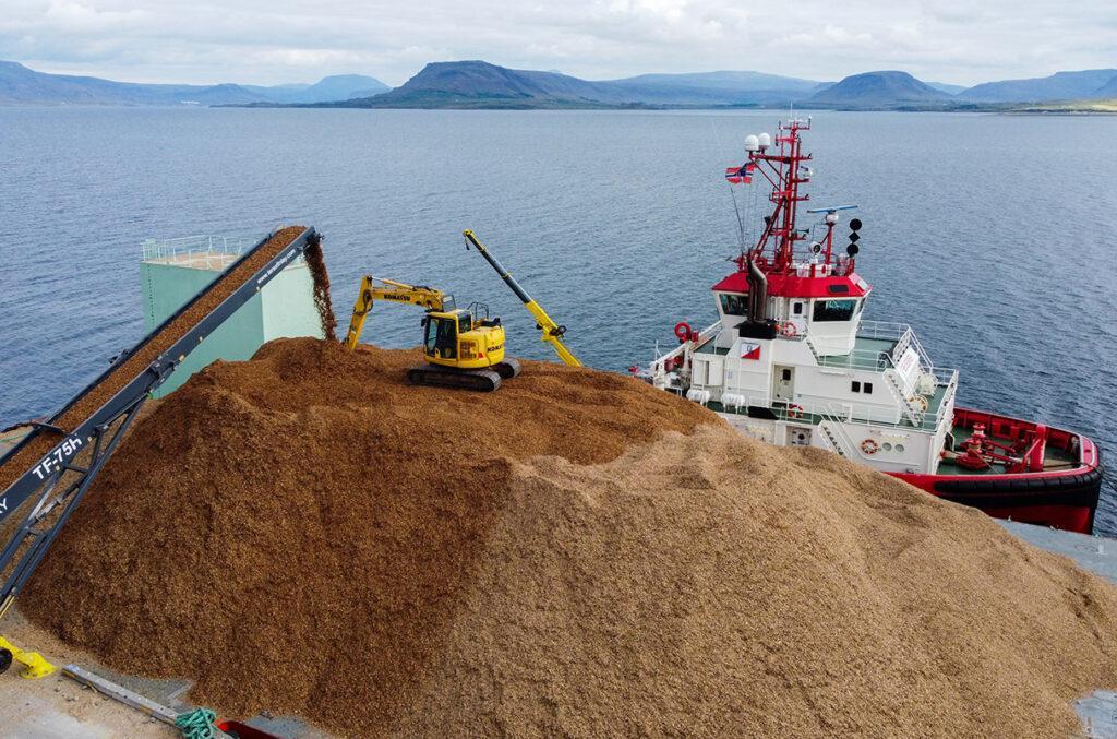 Enfouissement sous la mer de matières organiques composé de copeaux de bois – Au large des côtes islandaises, pour vendre des crédits carbone.