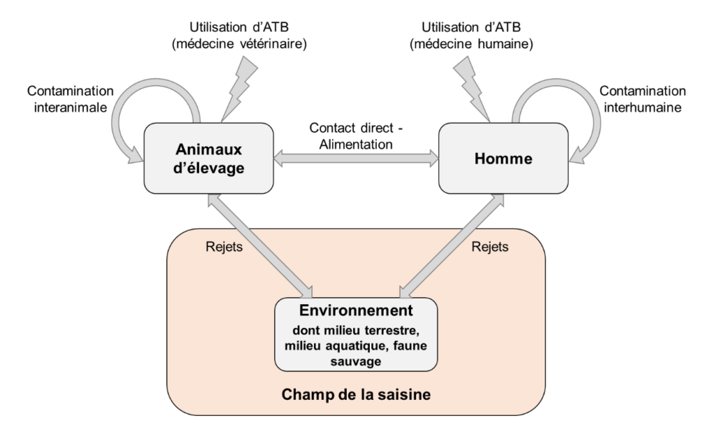 https://www.science-technologie.com/