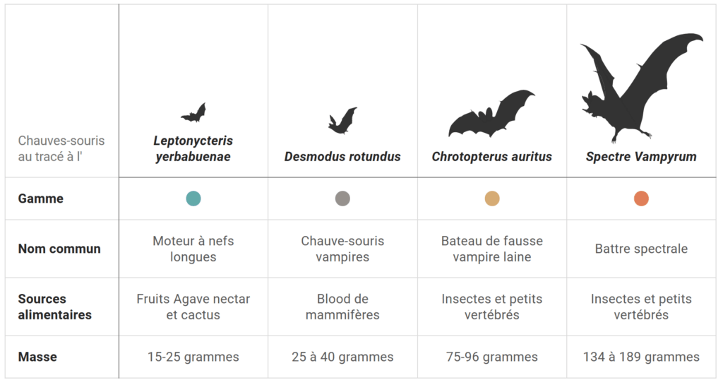 https://www.science-technologie.com/