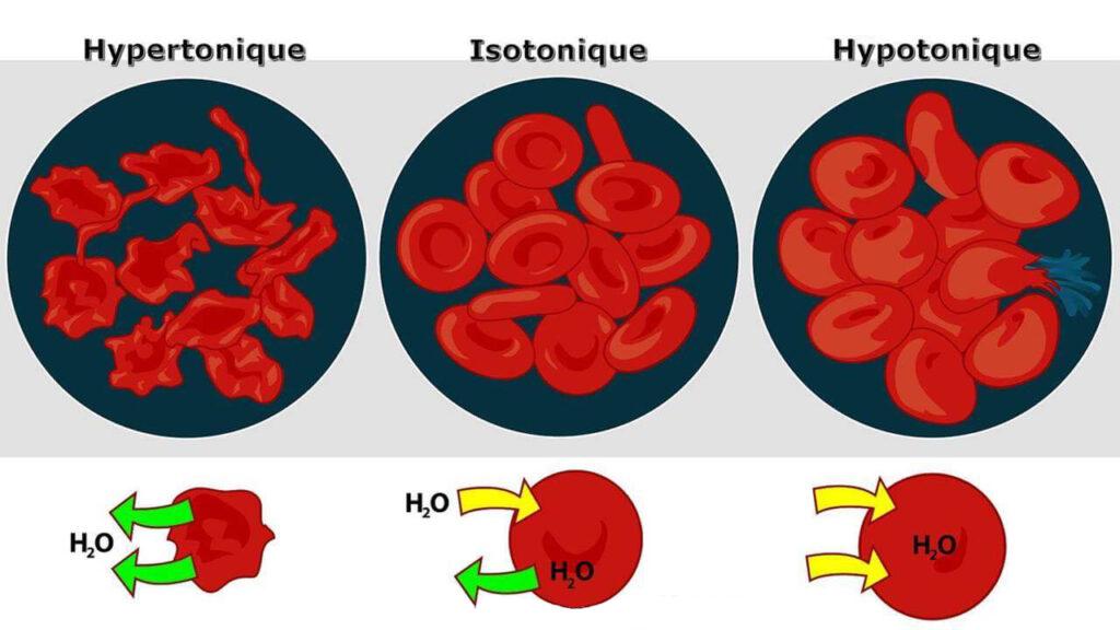 https://www.science-technologie.com/