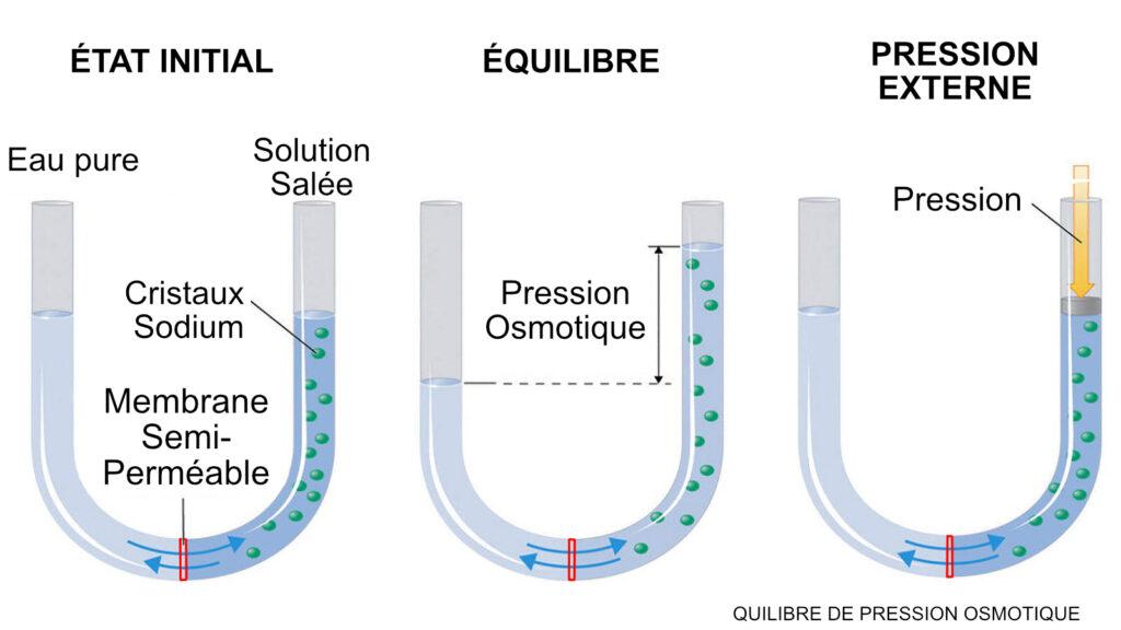 https://www.science-technologie.com/