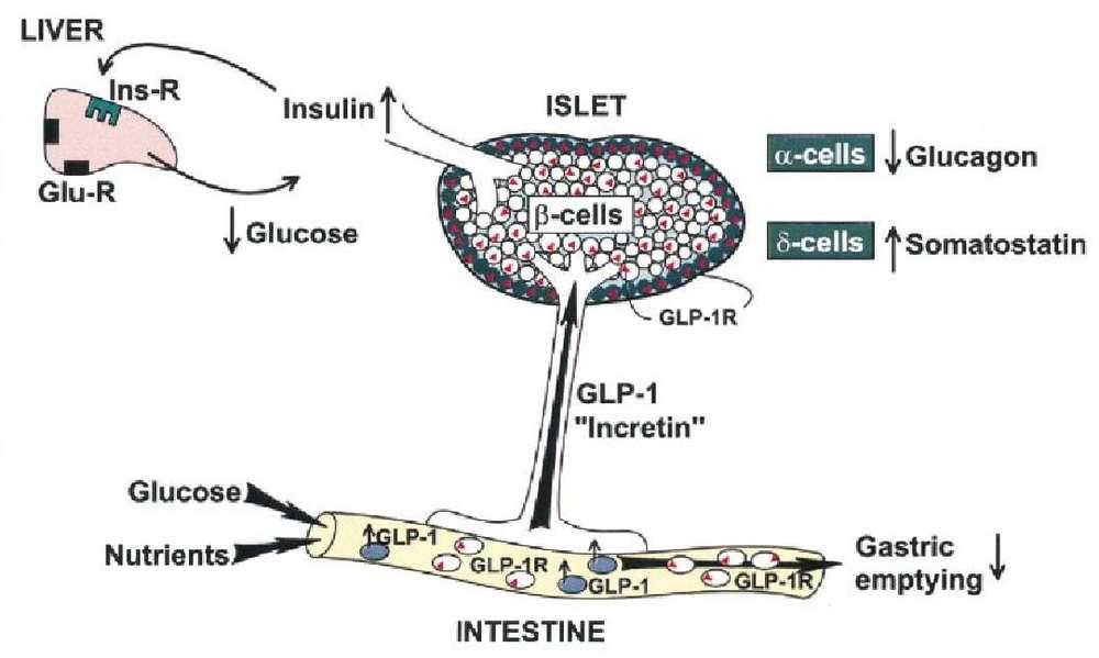 https://www.science-technologie.com/