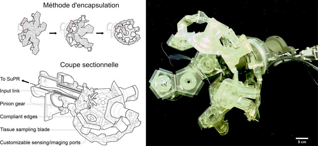 https://www.science-technologie.com/