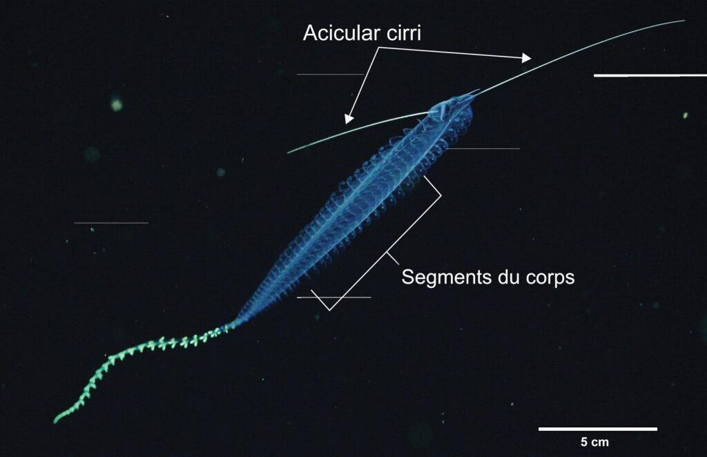 https://www.science-technologie.com/