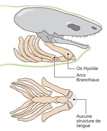 https://www.science-technologie.com/