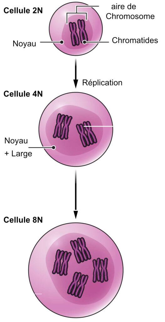 https://www.science-technologie.com/