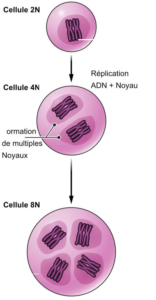 https://www.science-technologie.com/