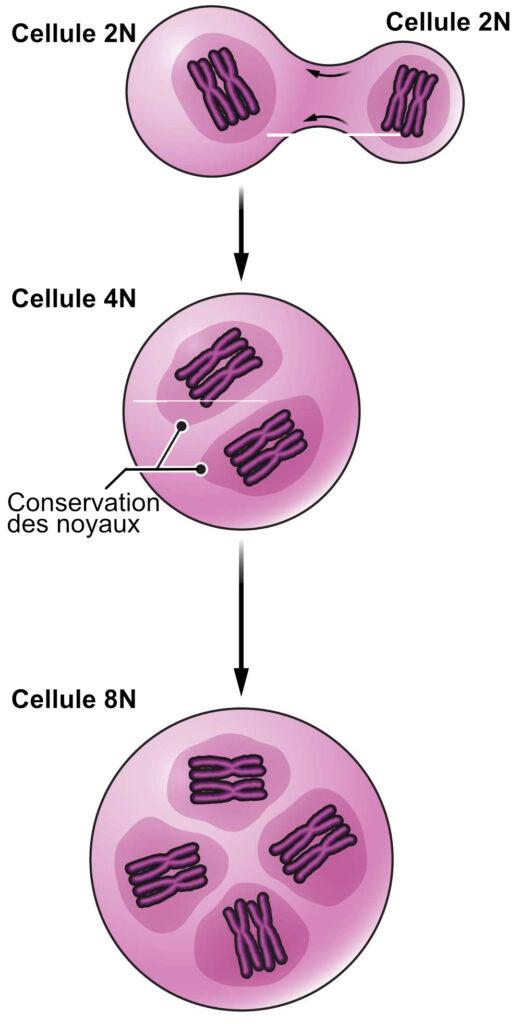 https://www.science-technologie.com/