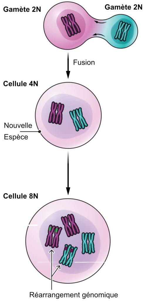 https://www.science-technologie.com/