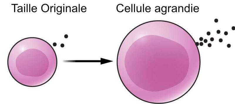 https://www.science-technologie.com/