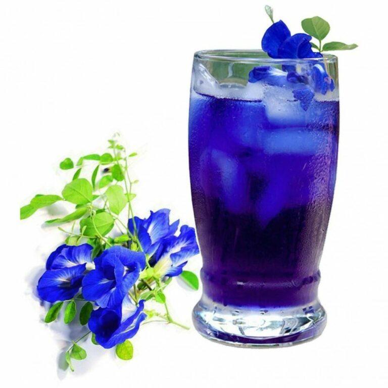 Colorant bleu de Clitoria Ternatea