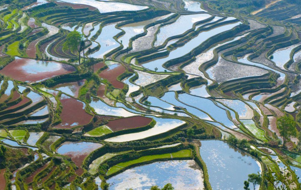 Les premières rizières en terrasses de chine - Province de yuanyang