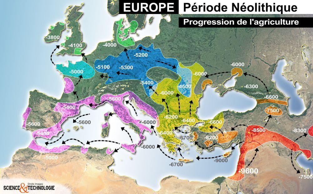 Les premiers agriculteurs européens pratiquaient la culture du blé, de l'orge, des légumineuses et d'autres cultures