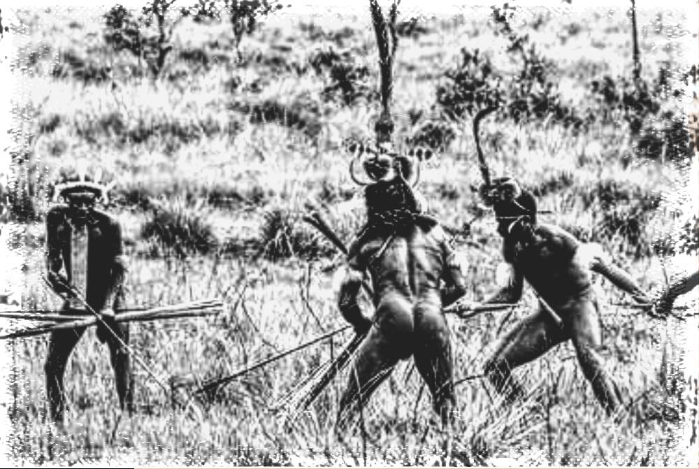 Les Papous sont un groupe ethnique autochtone de la Nouvelle-Guinée