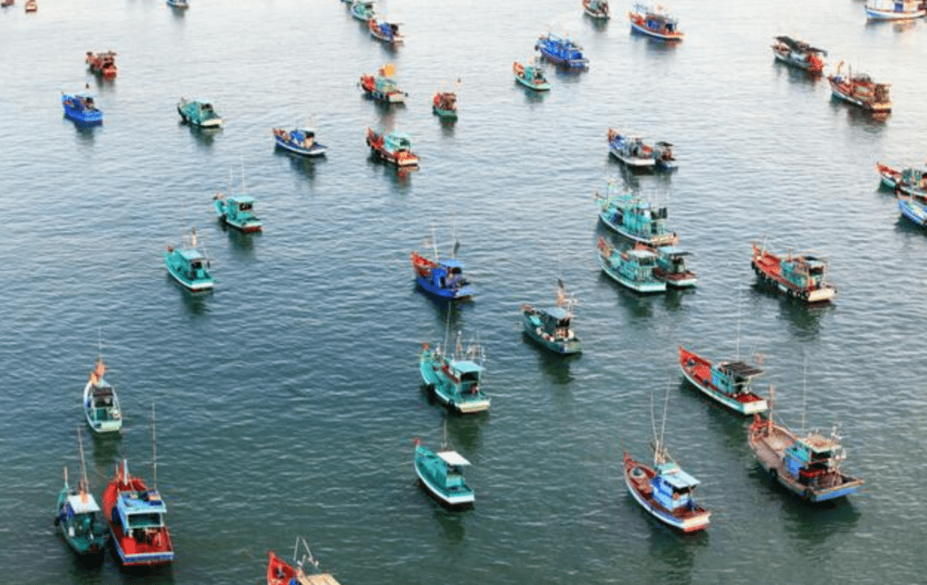 Visualisation en temps réel de la pêche dans le monde