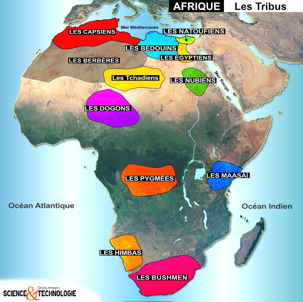 COMPRENDRE L’APPARITION DES PREMIÈRES TRIBUS EN AFRIQUE