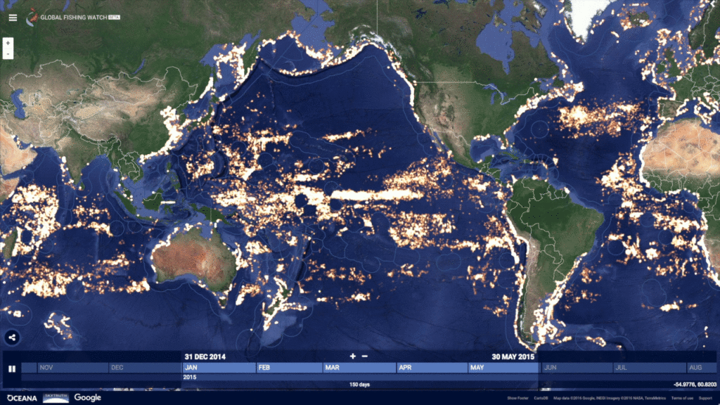 Visualisation en temps réel de la pêche dans le monde