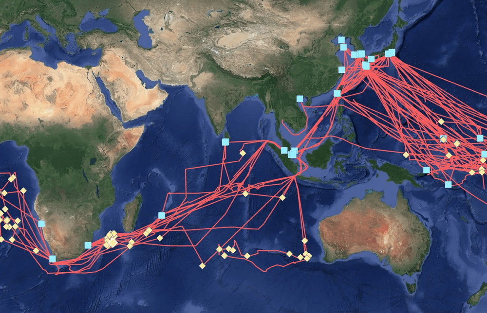 /// historique et l'activité des navires - information sur les navires - Profils des navires ///